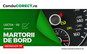 Martorii de bord